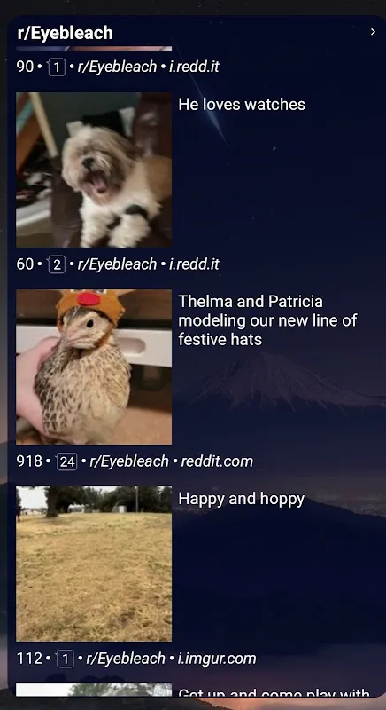 Wolf Widget for Reddit Wolf Widget for Reddit