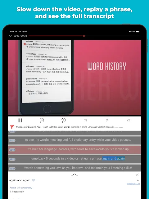 Woodpecker Cracked My Language Wall