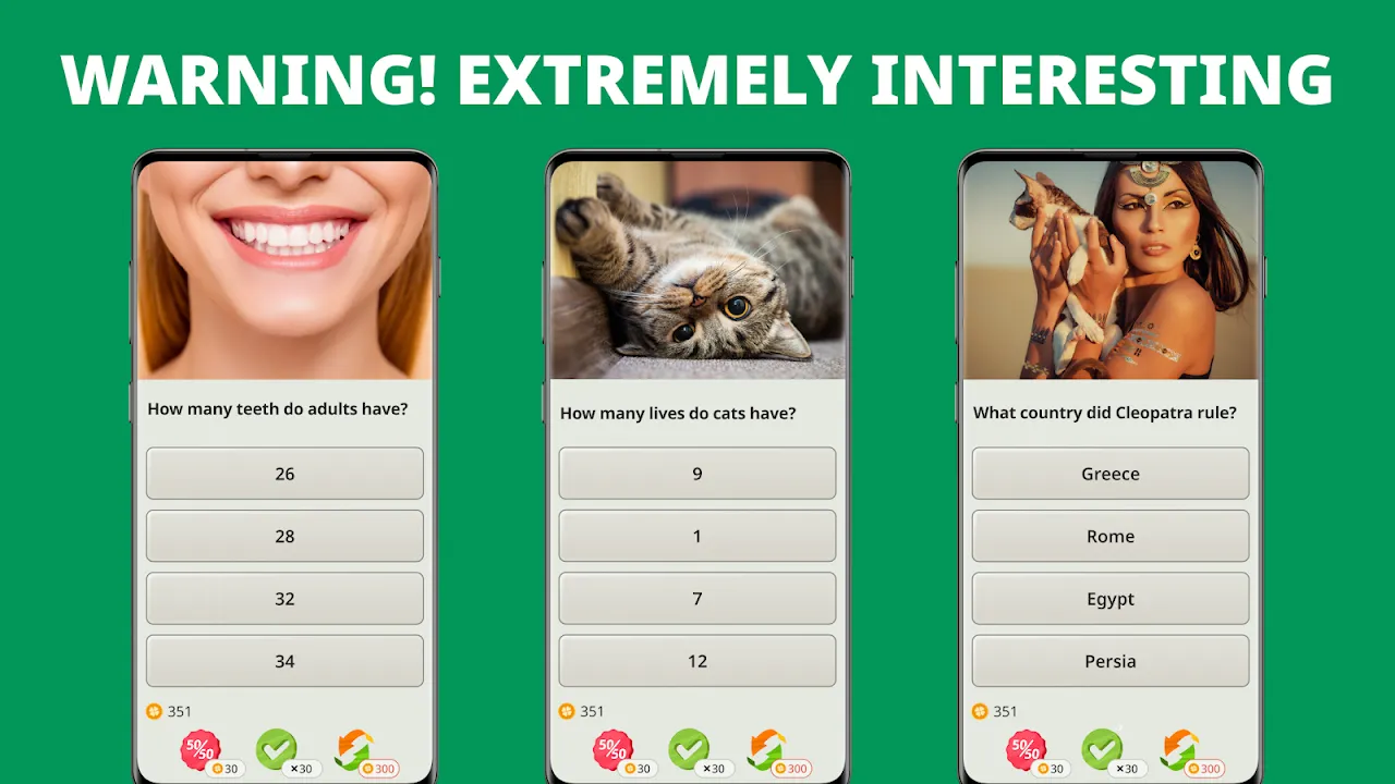 Lost in QuizzLand's Cognitive Jungle