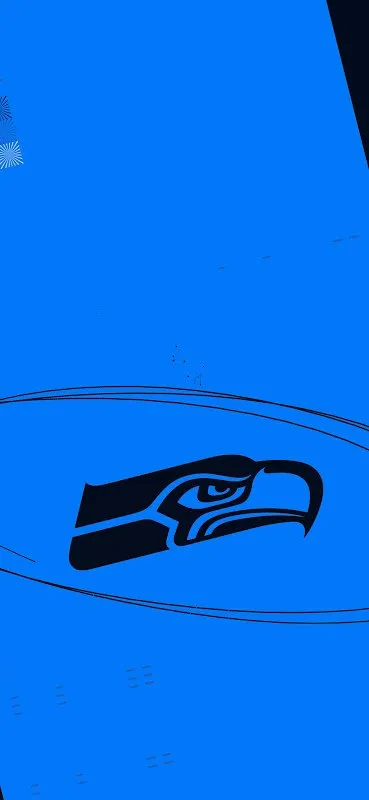 Raindrops on My Screen: When the Seahawks Came Home