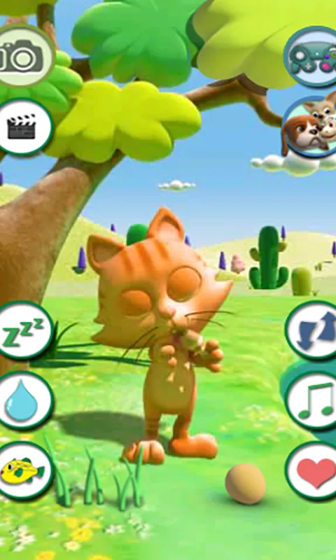 Talking Cat Talking Cat