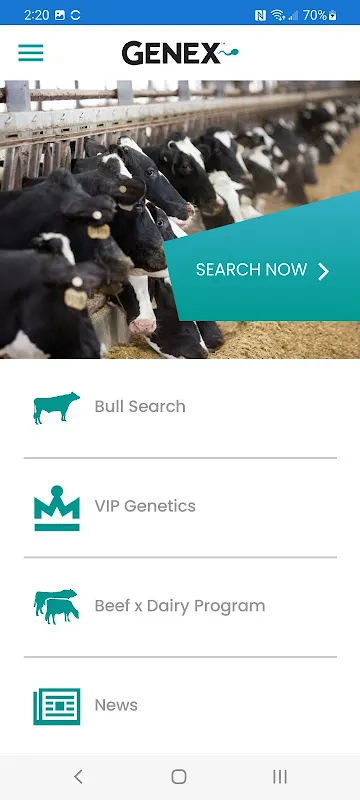 Bull Search Bull Search