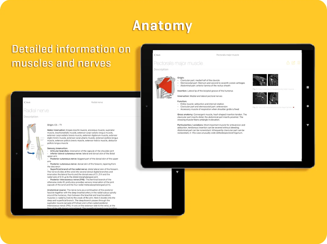 MRI Essentials MRI Essentials