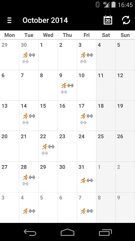 The Trainers The Trainers