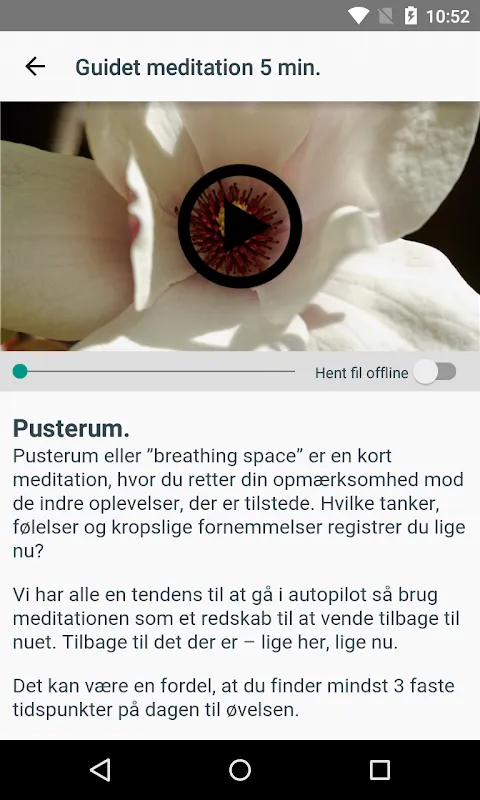 Mindfulness - bevidst nærvær Mindfulness - bevidst nærvær