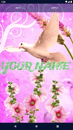 Dove Romantic Live Wallpaper Dove Romantic Live Wallpaper