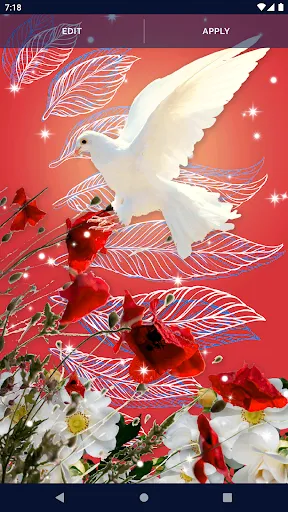 Dove Romantic Live Wallpaper Dove Romantic Live Wallpaper