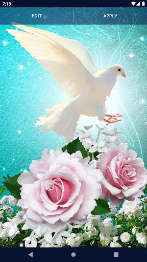 Dove Romantic Live Wallpaper Dove Romantic Live Wallpaper