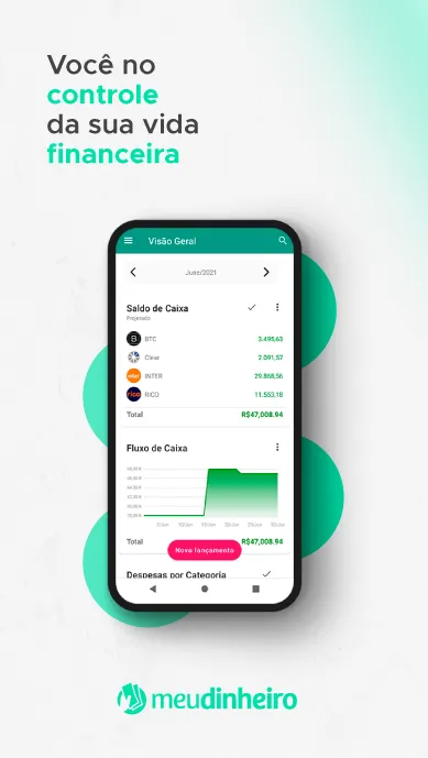 My Pocket CFO Revolution