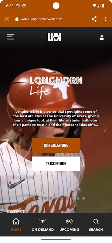 Texas Longhorns Texas Longhorns