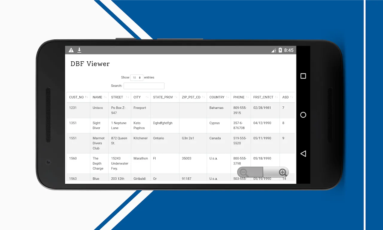 DBF Viewer: My Unexpected Data Savior