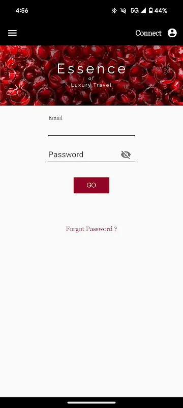 The Essence The Essence