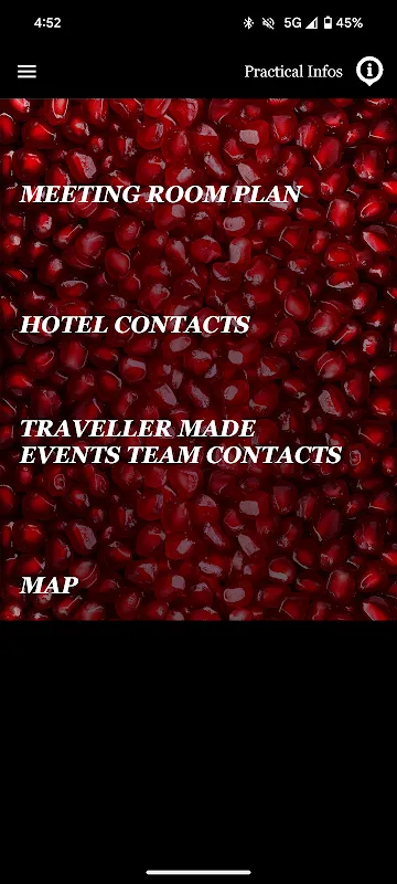 The Essence The Essence