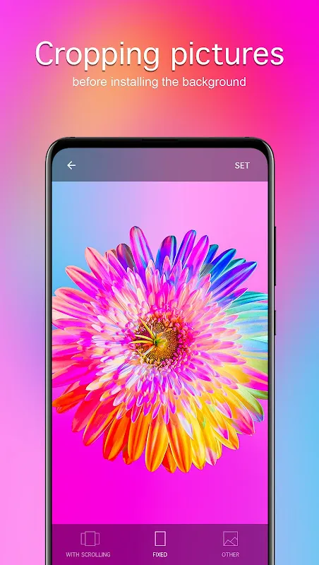 Flower Wallpapers 4K Flower Wallpapers 4K