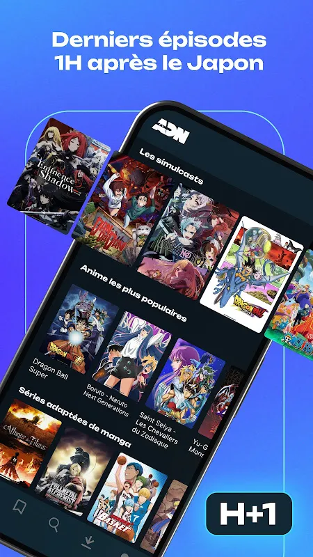 ADN Animation Digital Network ADN Animation Digital Network