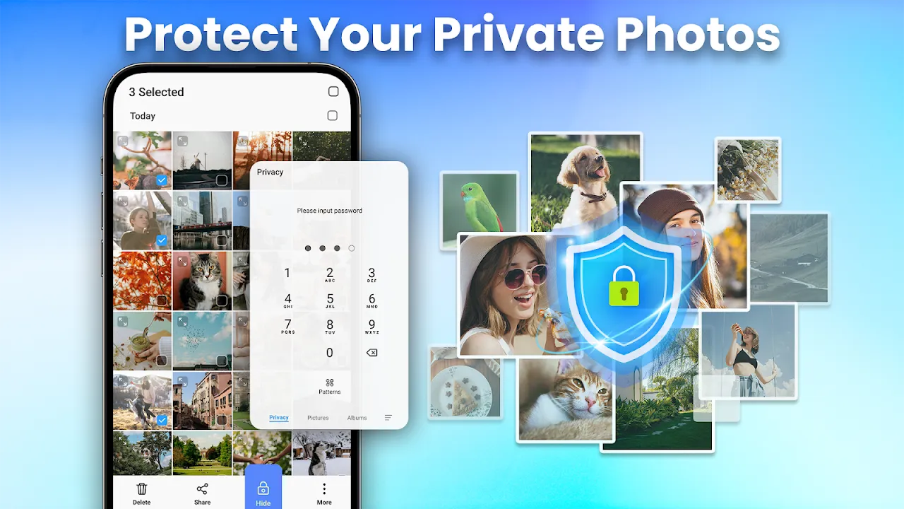 Gallery - Photo Gallery, Album Gallery - Photo Gallery, Album