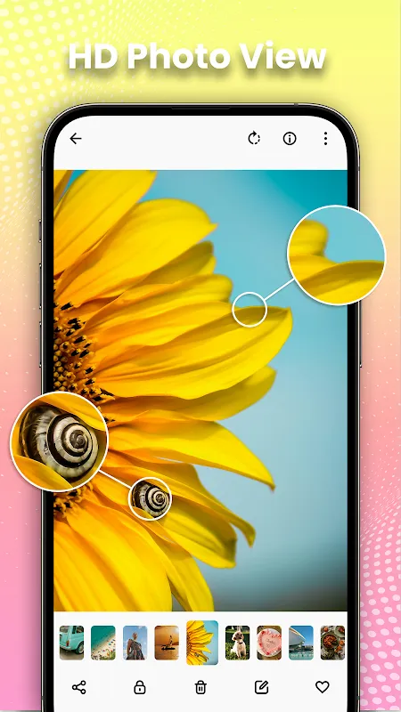 Gallery - Photo Gallery, Album Gallery - Photo Gallery, Album