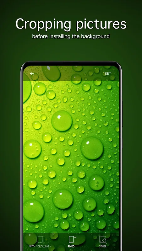 Green Wallpapers 4K Green Wallpapers 4K