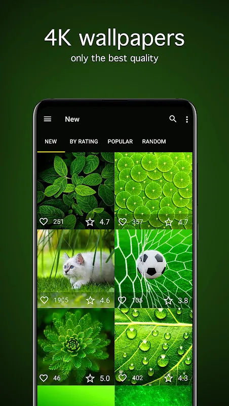 Green Wallpapers 4K Green Wallpapers 4K