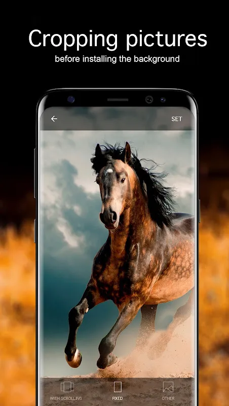 Horse Wallpapers 4K Horse Wallpapers 4K