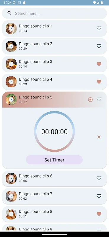 Dingo Sounds: My Digital Refuge