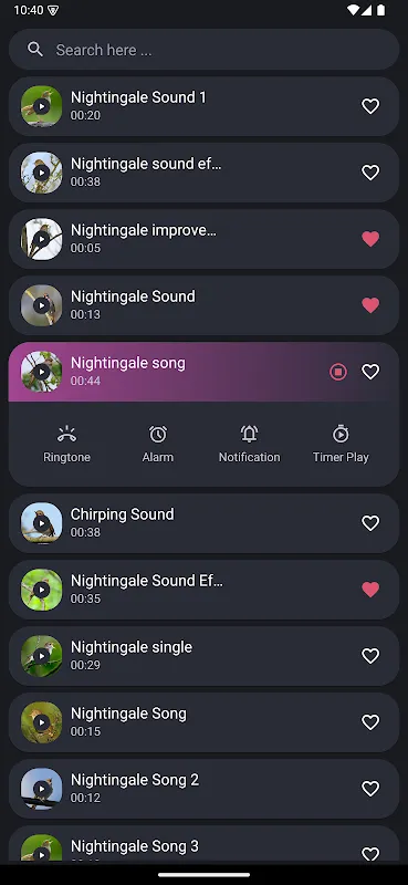 Nightingale Bird Sounds Nightingale Bird Sounds