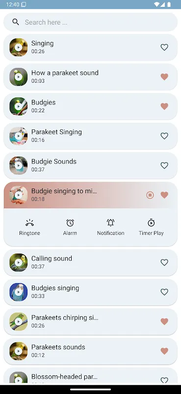 Parakeet Sounds Parakeet Sounds