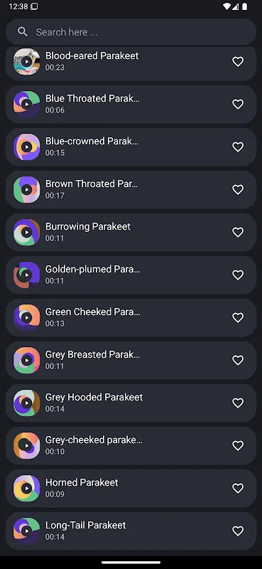 Parakeet Sounds Parakeet Sounds