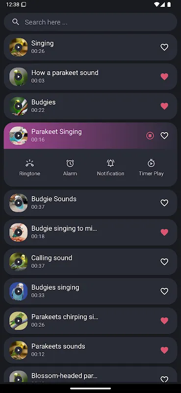 Parakeet Sounds Parakeet Sounds