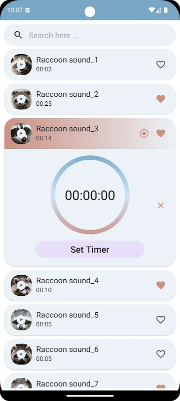 Raccoon Chitters in the Boardroom