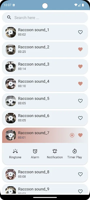 Raccoon Sounds Raccoon Sounds