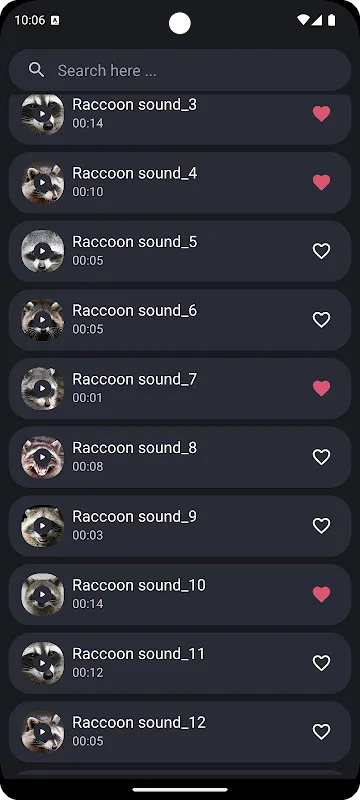 Raccoon Sounds Raccoon Sounds