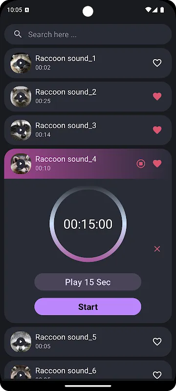 Raccoon Sounds Raccoon Sounds