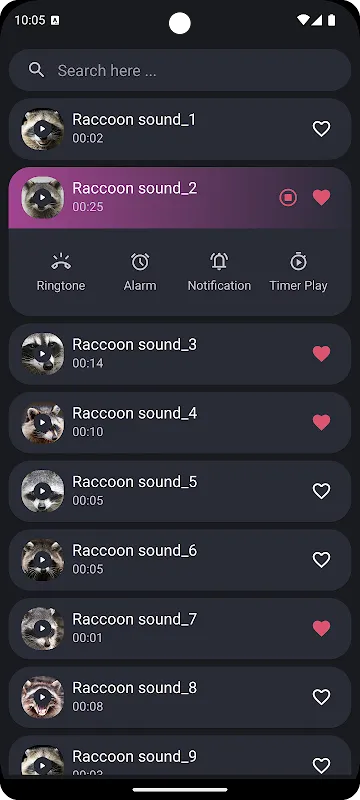 Raccoon Sounds Raccoon Sounds