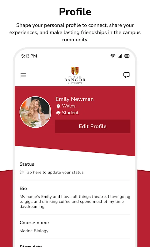 My Digital Compass Through Campus Chaos