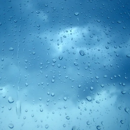 Rainy Day