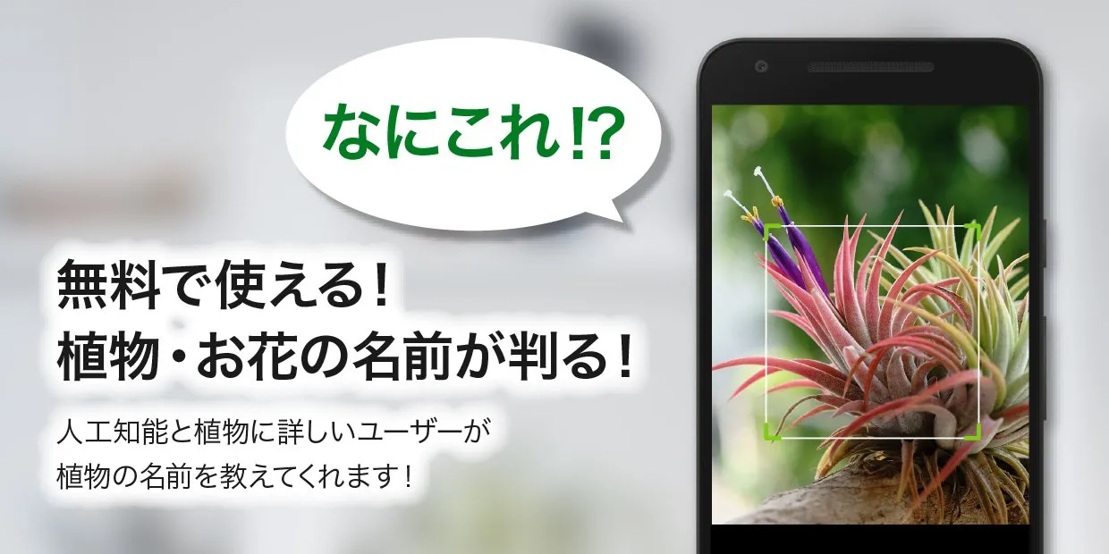 GreenSnap - 植物・花の名前が判る写真共有アプリ GreenSnap - 植物・花の名前が判る写真共有アプリ