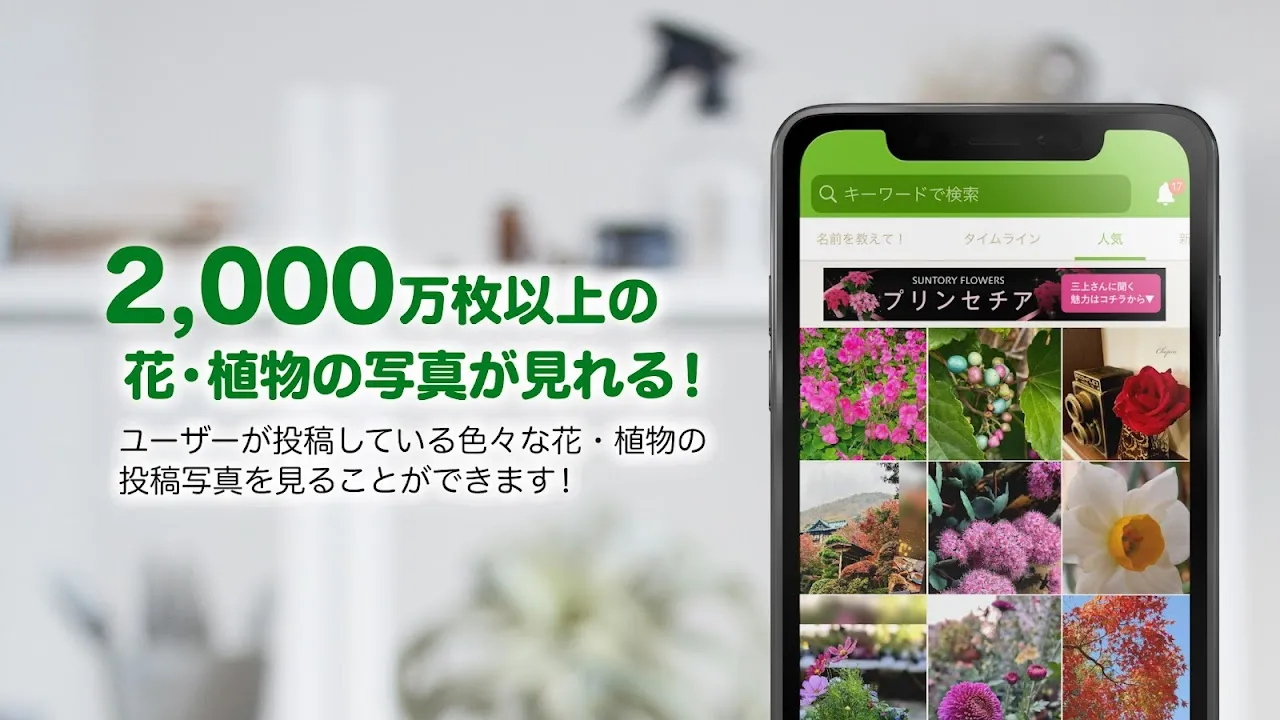GreenSnap - 植物・花の名前が判る写真共有アプリ GreenSnap - 植物・花の名前が判る写真共有アプリ