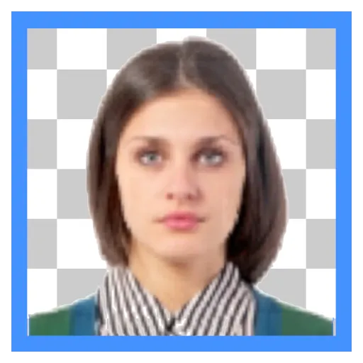 ID photo background editor