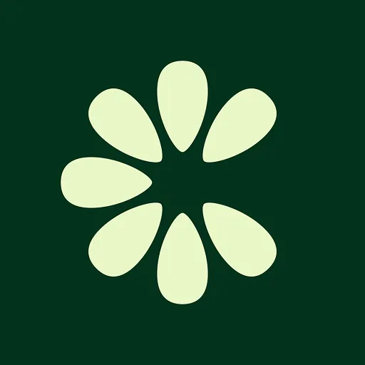 Clove