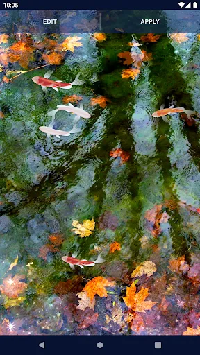 Fish 4K HD Koi Live Pond 3D Fish 4K HD Koi Live Pond 3D