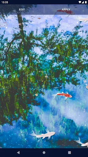 Fish 4K HD Koi Live Pond 3D Fish 4K HD Koi Live Pond 3D