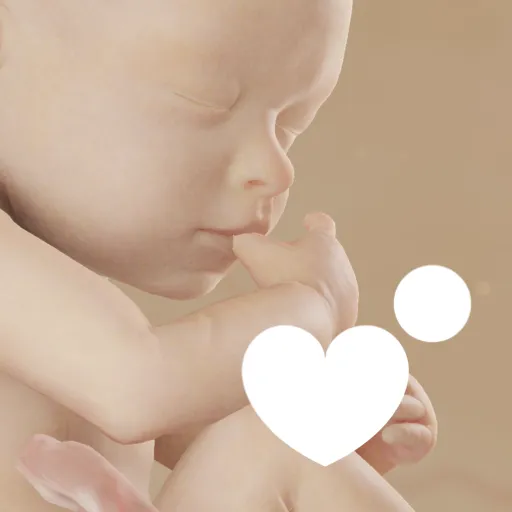 Preggers | Baby App