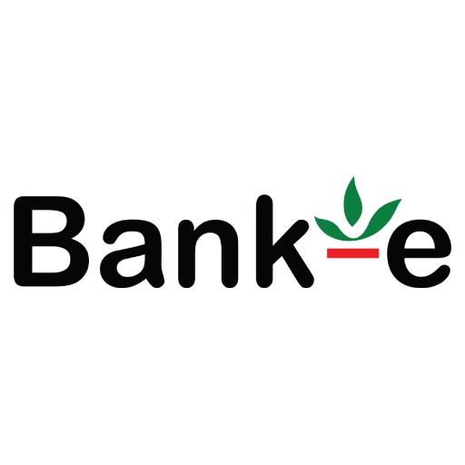 Bank-e