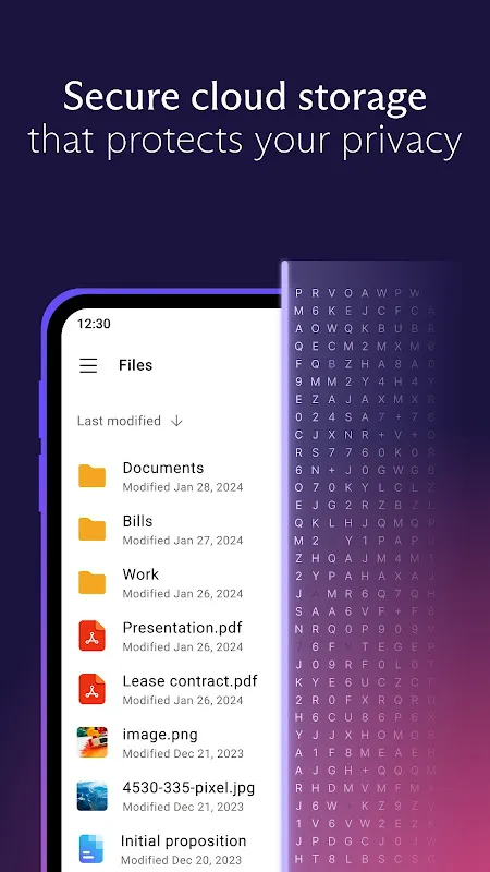 Proton Drive Proton Drive
