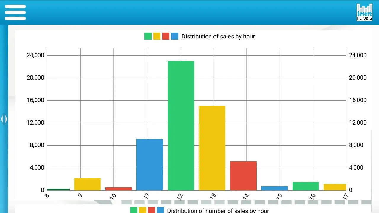 Microinvest Smart Reports Microinvest Smart Reports
