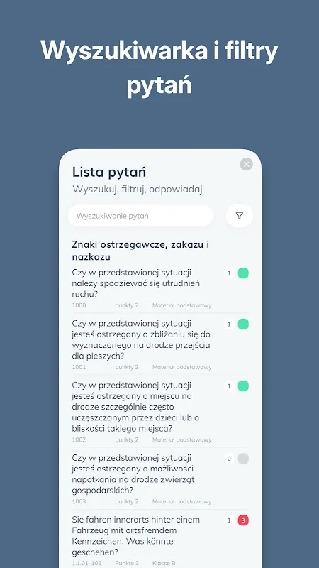 From Panic to Polish Roads: My Driving Test Redemption