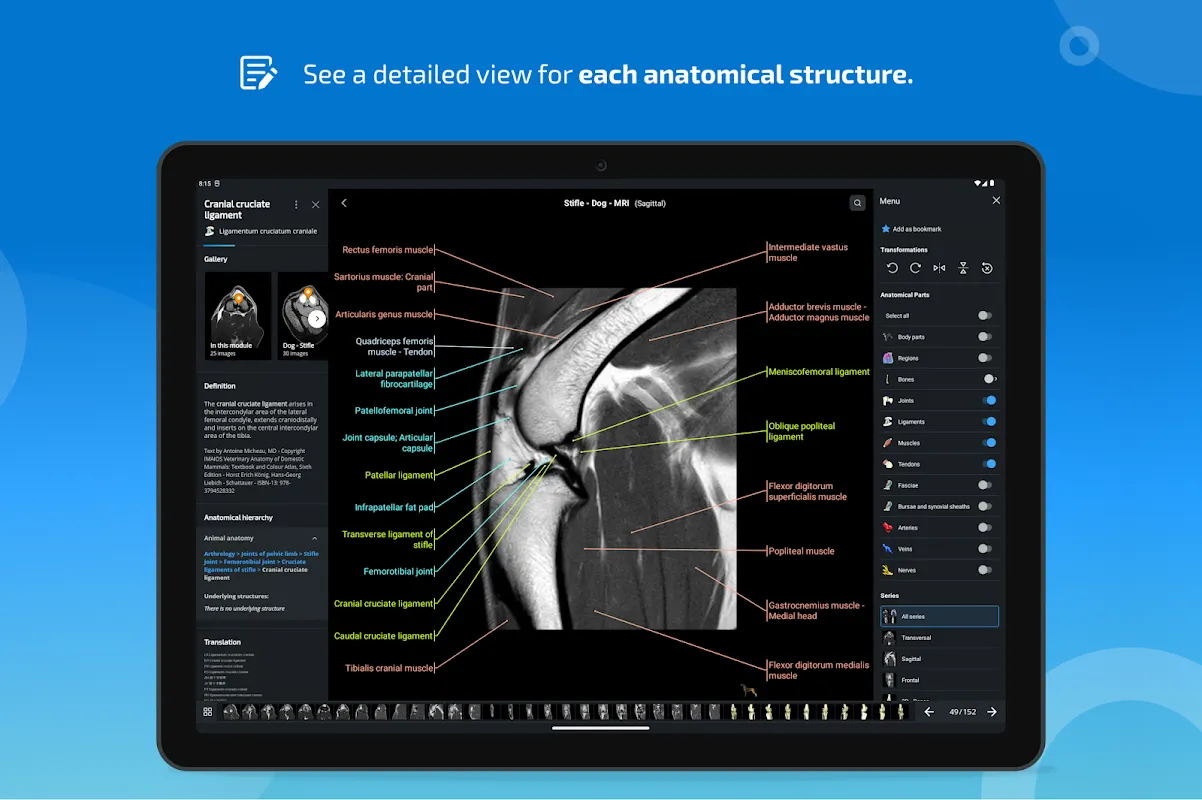 vet-Anatomy vet-Anatomy