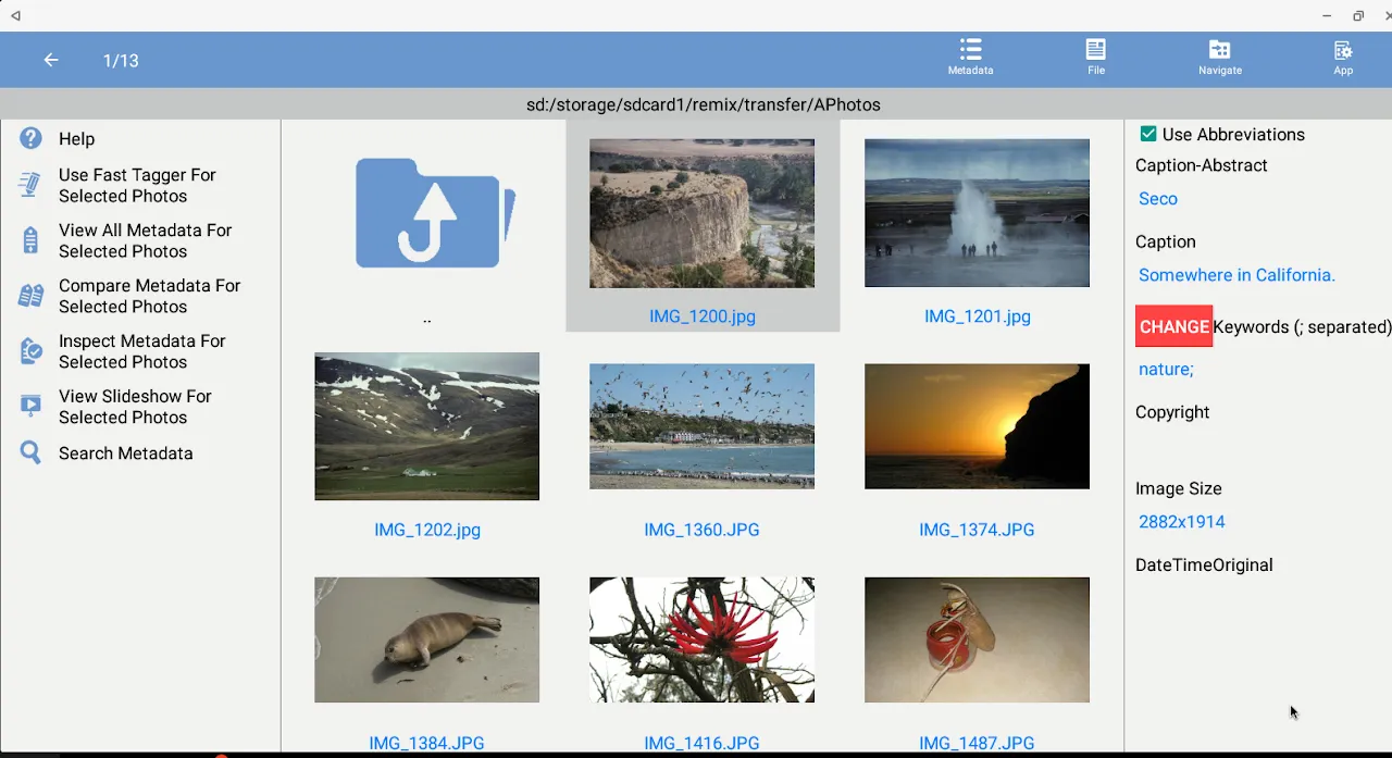 From Chaos to Clarity: My Metadata Rescue