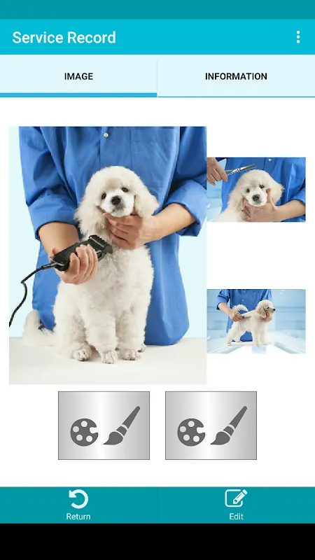 TapGroom Pet Grooming Salon TapGroom Pet Grooming Salon